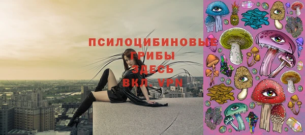 спиды Алексеевка