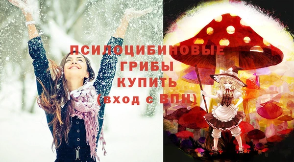 эйфоретик Алзамай